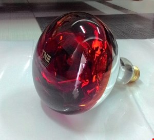 Bóng đèn hồng ngoại TNE